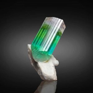 Beautiful Bicolor Tourmaline Crystal Perched on Albite